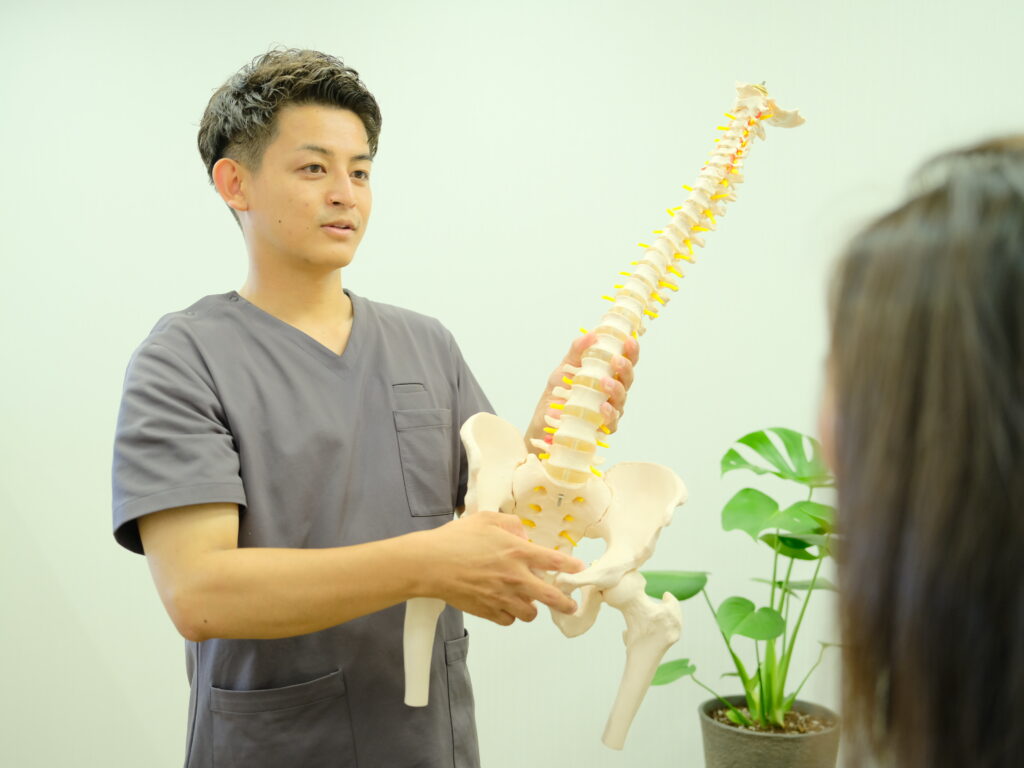 骨格模型を使用し、患者に説明をする施術者