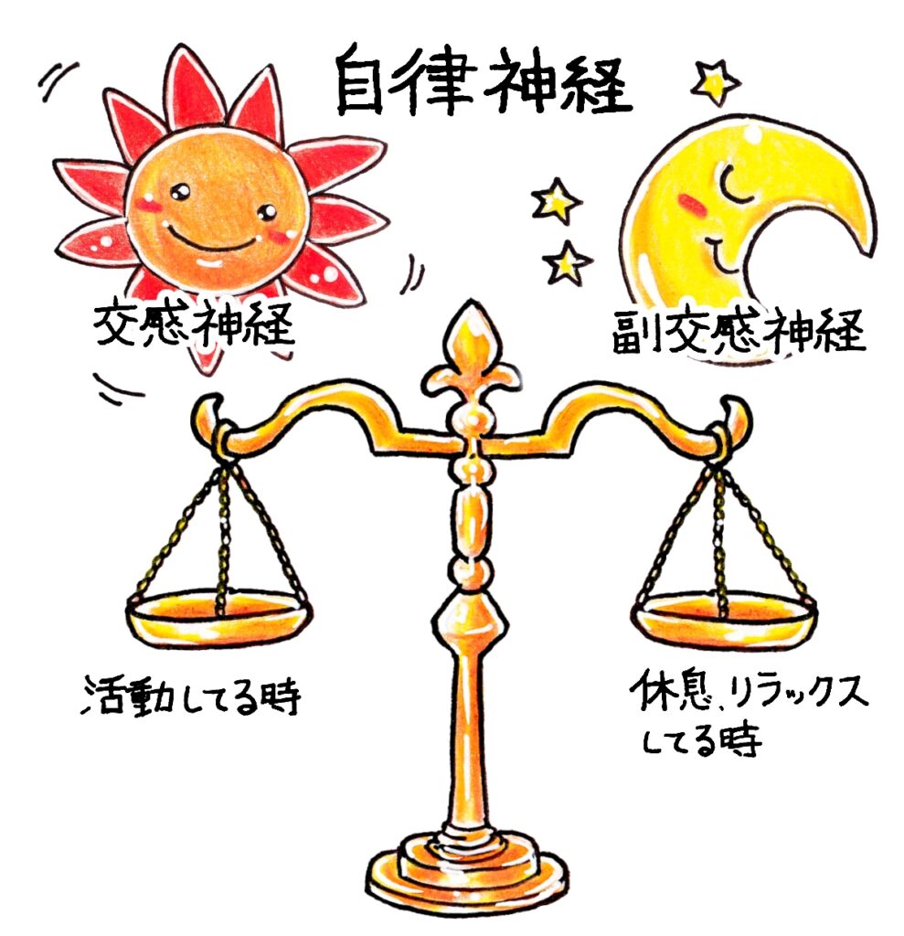自律神経のバランスを表した図