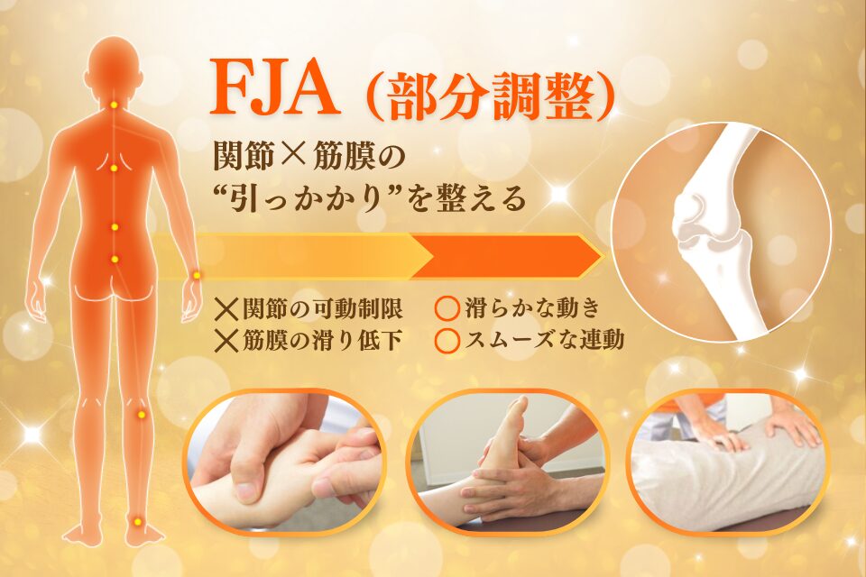 FJA（部分調整）