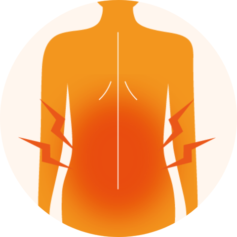 腰・背中の症状