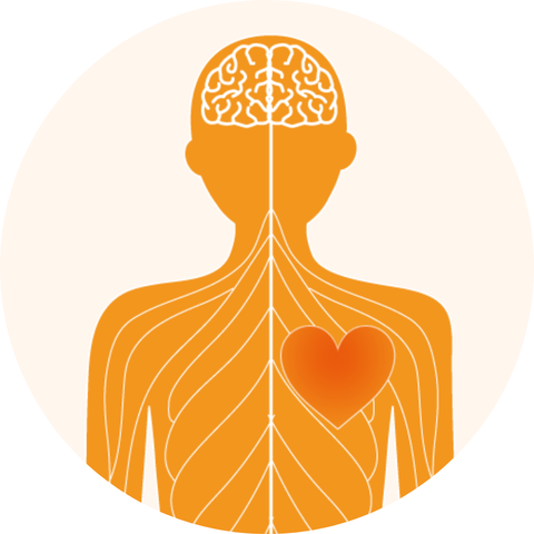 自律神経・他の症状