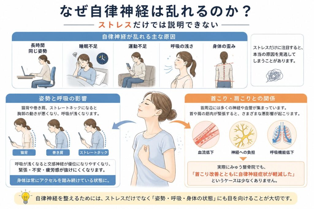 自律神経失調症の原因と姿勢・呼吸・首こりの関係を解説したイラスト