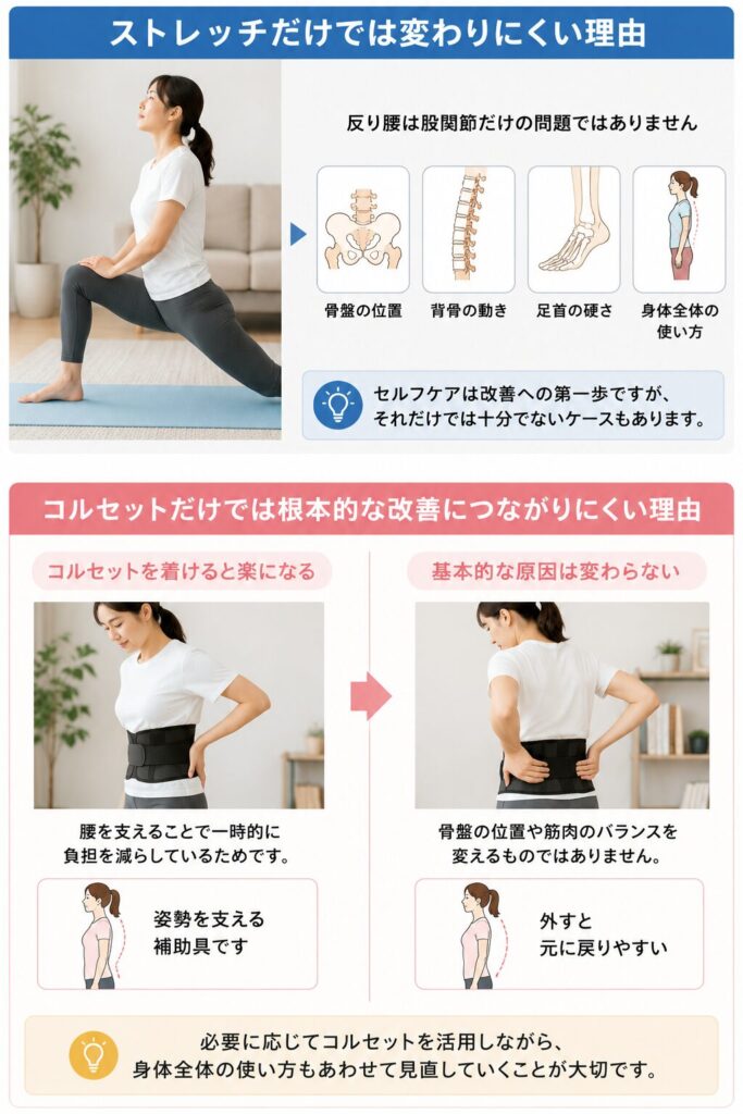 反り腰に対するストレッチやコルセットの役割を示したイメージ画像