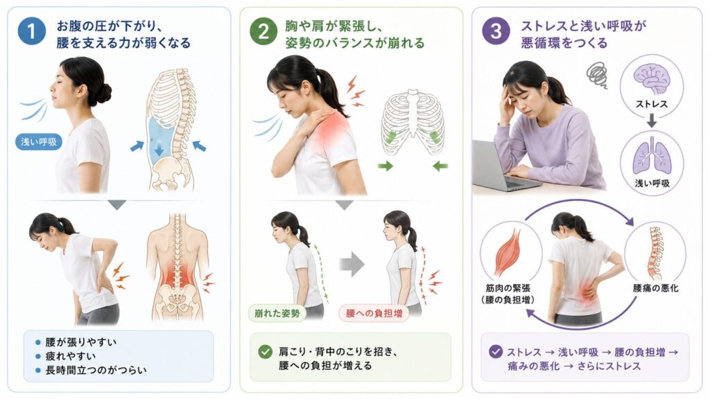 呼吸の乱れが腰痛を慢性化させる3つのメカニズムを解説したイラスト