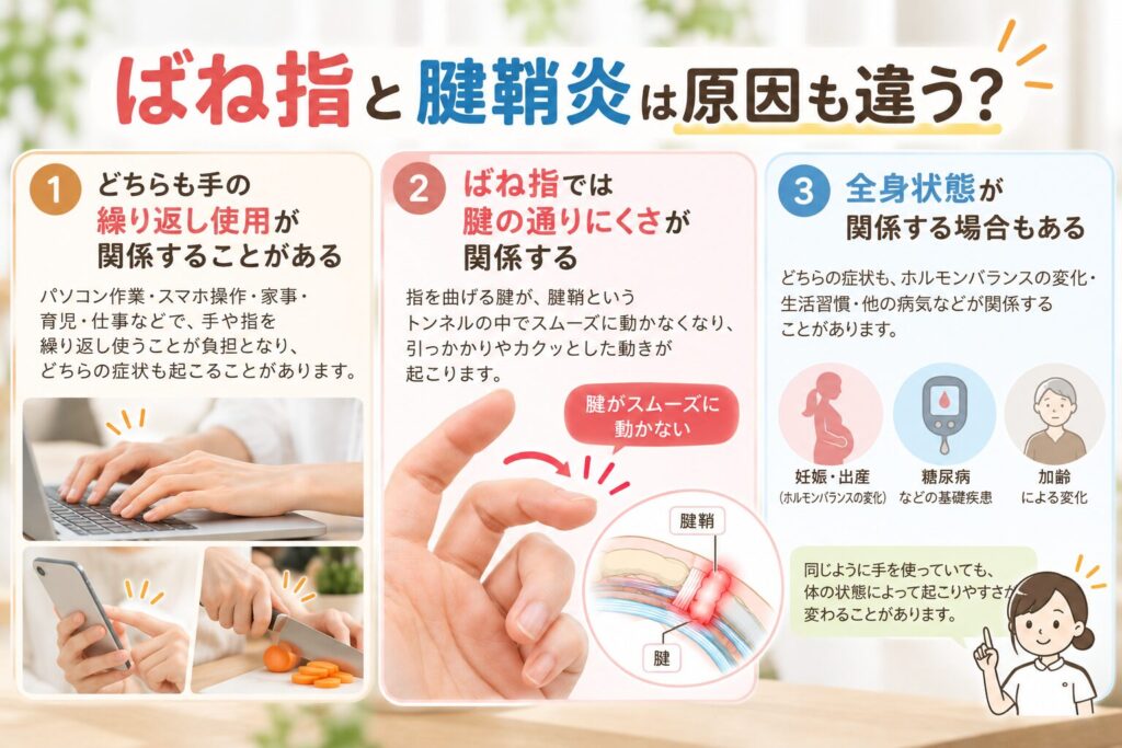 手の繰り返し使用・腱の通りにくさ・全身状態との関係を解説