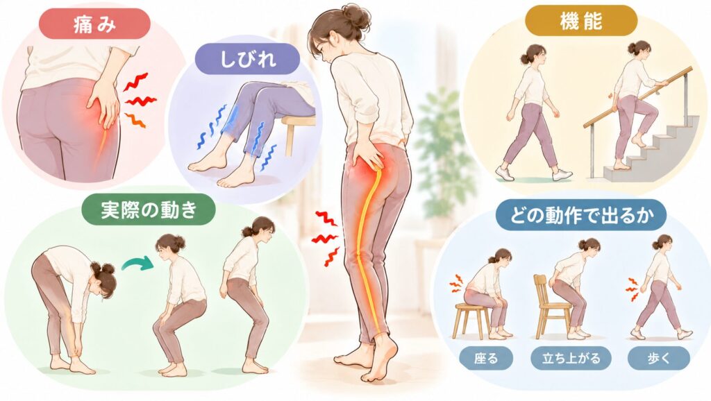 坐骨神経痛について、痛み、しびれ、動き、機能、どの動作で症状が出るかを確認する項目の図