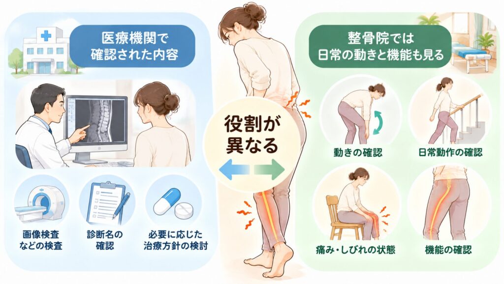 坐骨神経痛について、医療機関で確認された内容と、整骨院で見る動きや機能は、役割が異なることを示す図