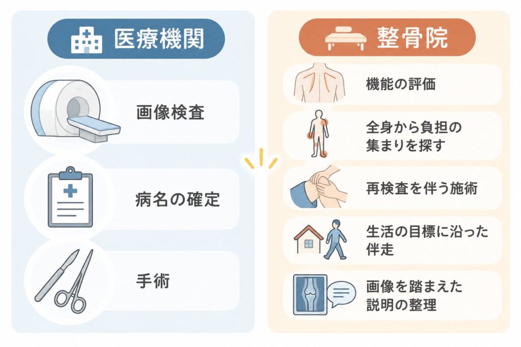 医療機関と整骨院の役割の違い|画像検査・診断・手術と、機能評価・再評価・生活目標に沿った支援を比較